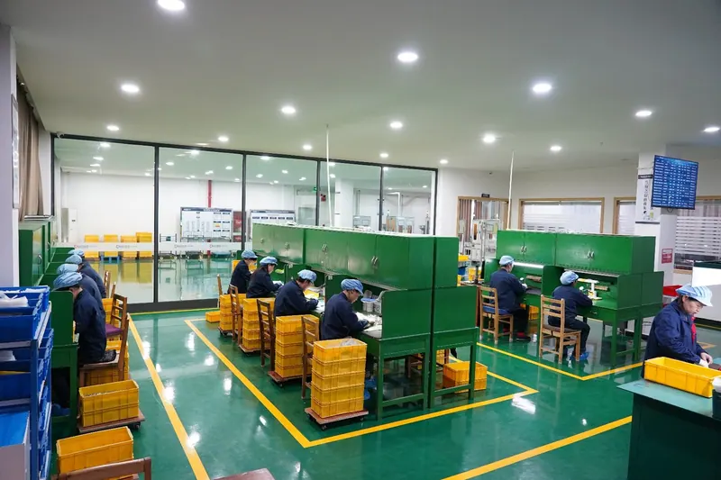 Sorting and packing area